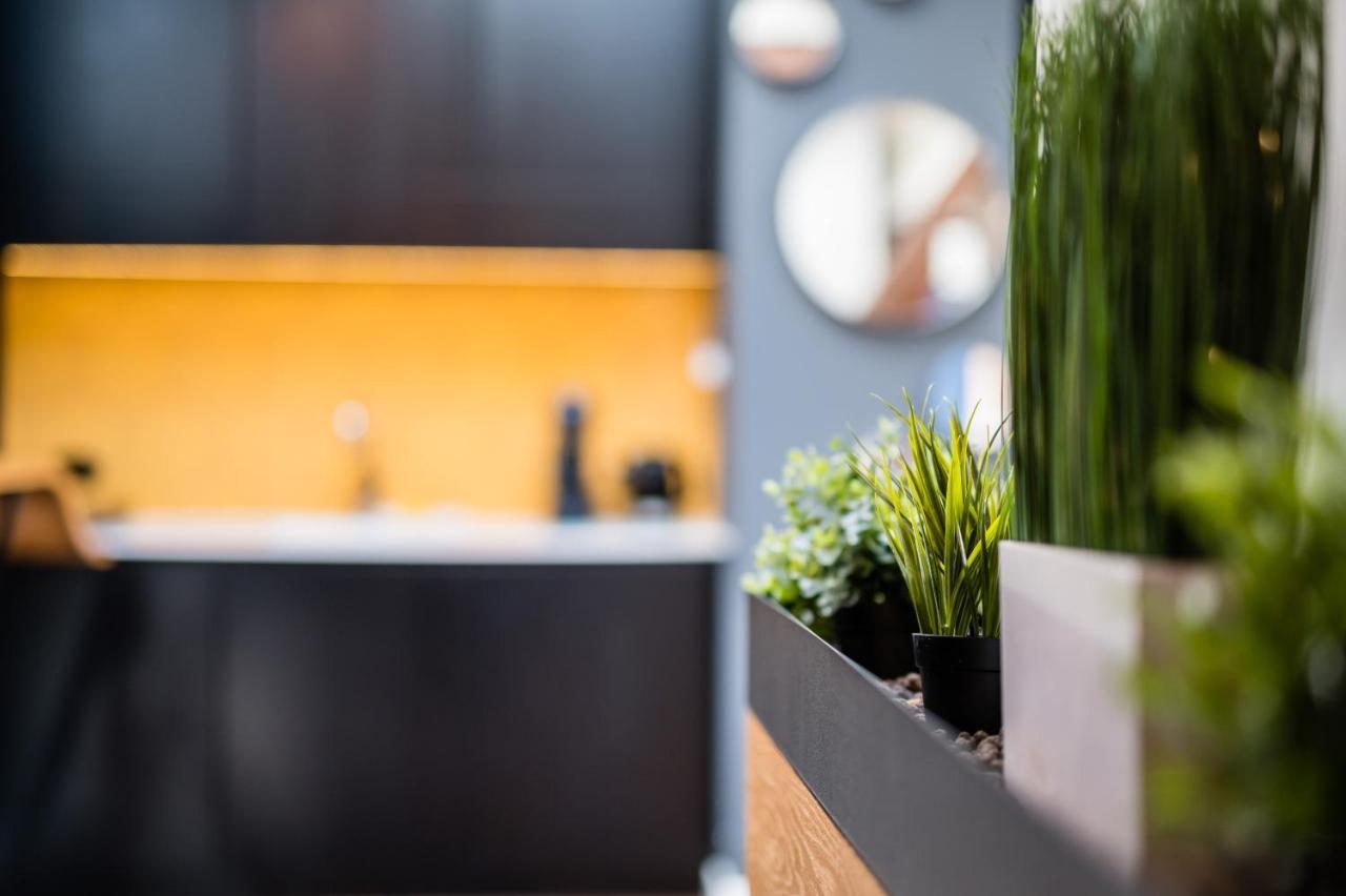 克拉科夫Wegierska Luxury Loft Wawelofts公寓 外观 照片